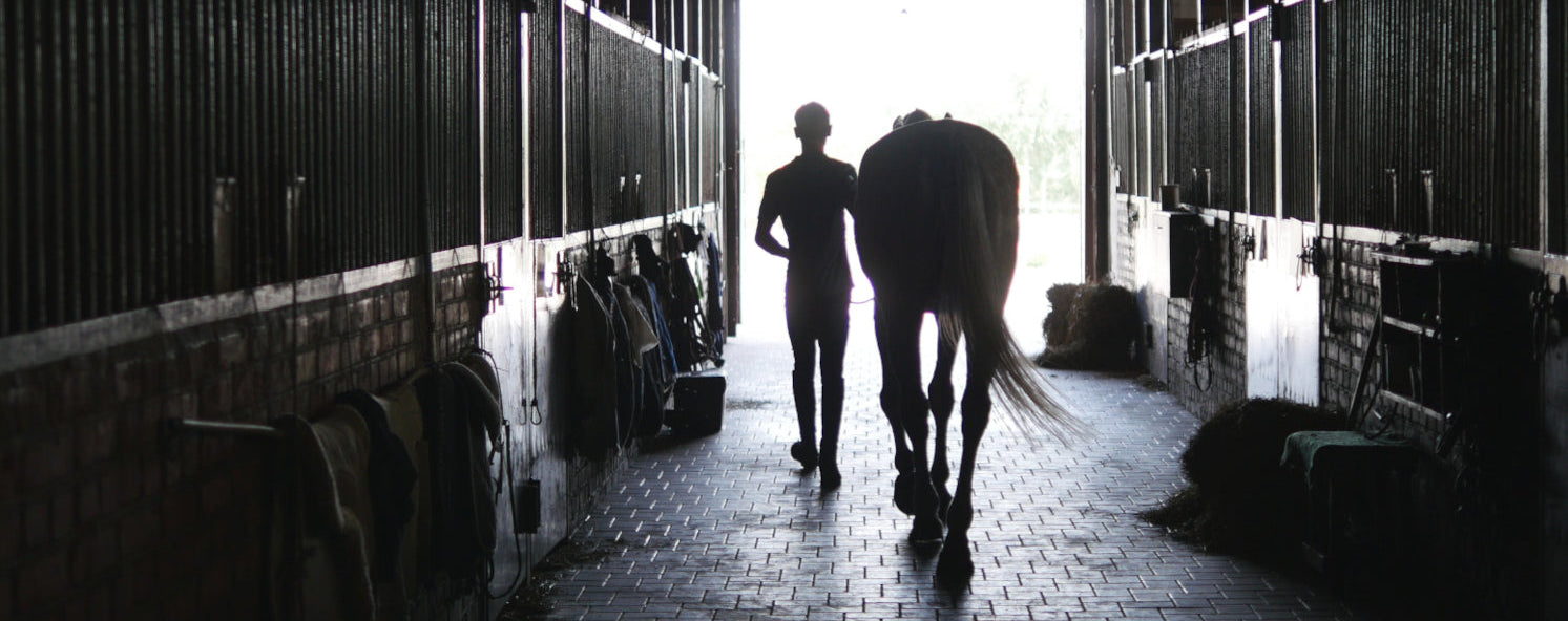 A silhouetted person walks down a horse stable aisle with a horse beside them, viewed from behind as they face a bright opening at the end of the corridor.