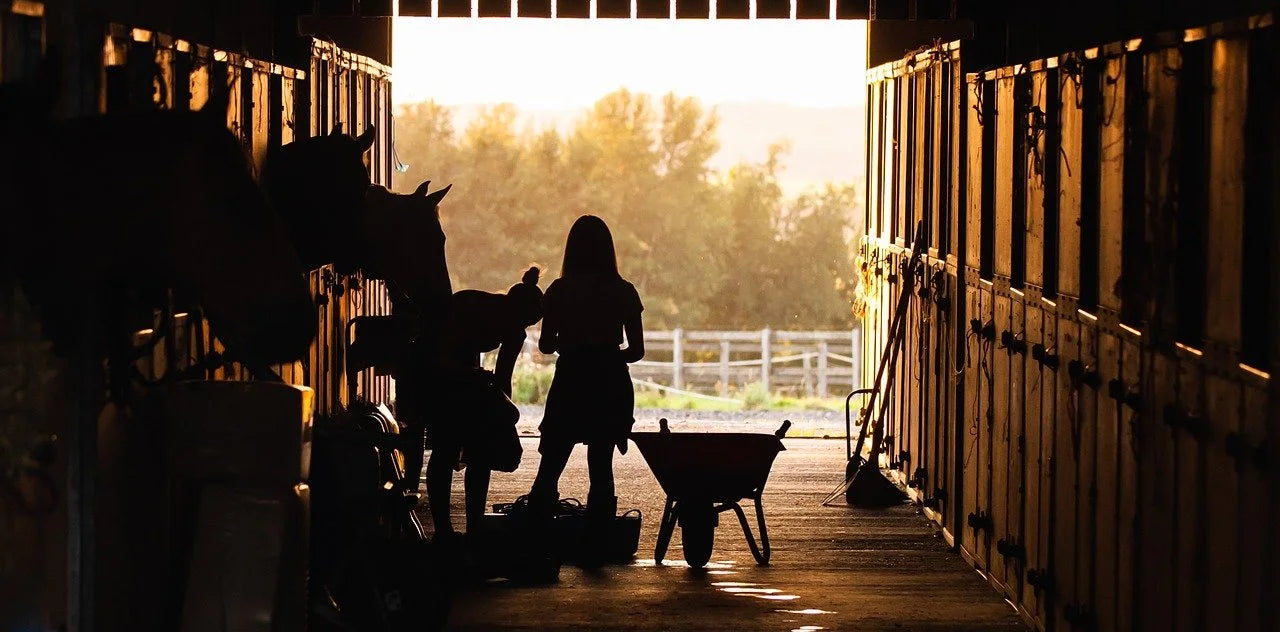 A silhouetted scene inside a barn showing a person standing near a horse and a wheelbarrow, with bright sunlight streaming out the open stable doors and trees in the distance.