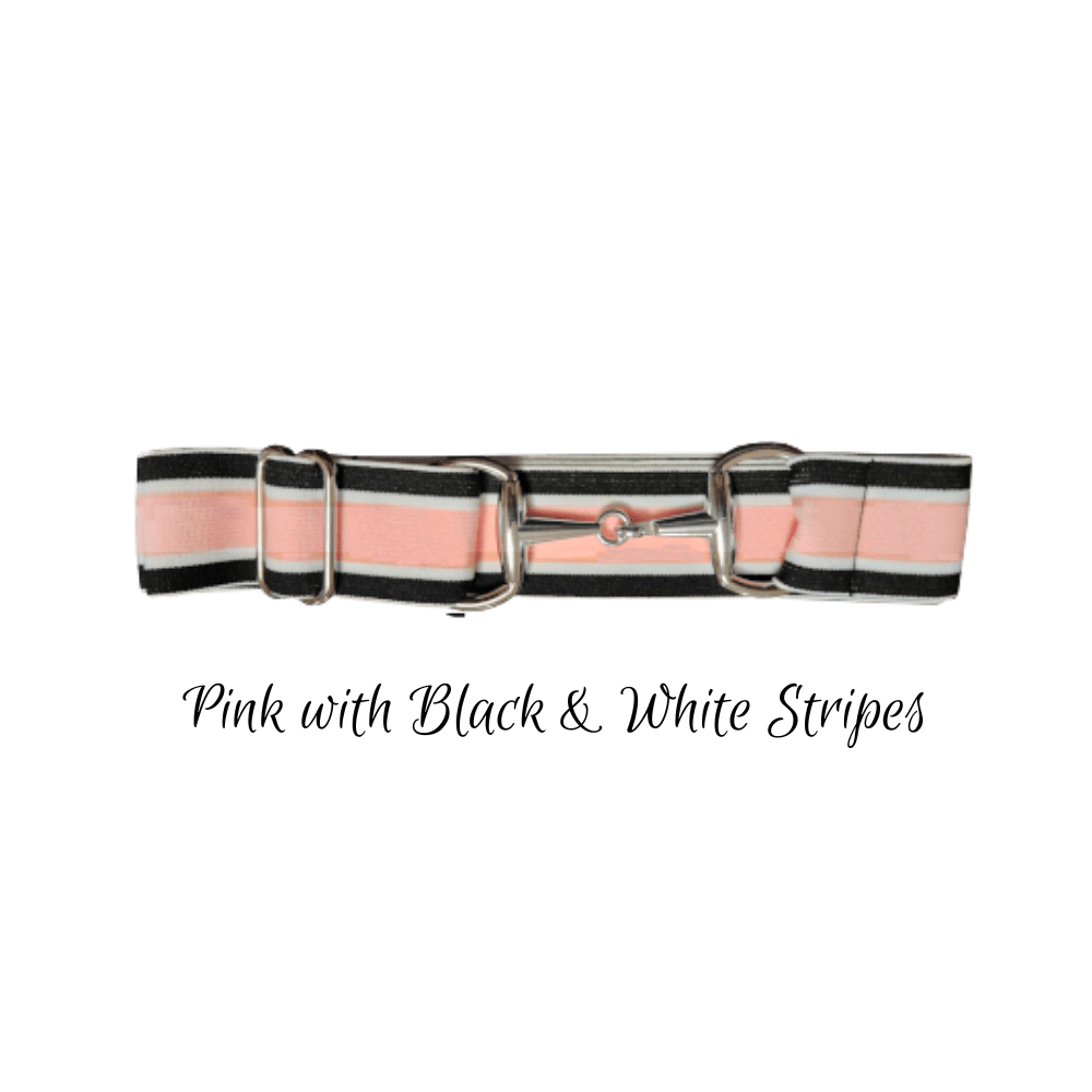 A pink, black, and white striped fabric belt with silver metal hardware, shown on a plain white background with the text 'Pink with Black & White Stripes' below it.
