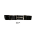 A black leather belt with silver-tone metal hardware, including a central horsebit clasp and two rectangular buckles, shown on a plain white background with the word 'Black' written below.