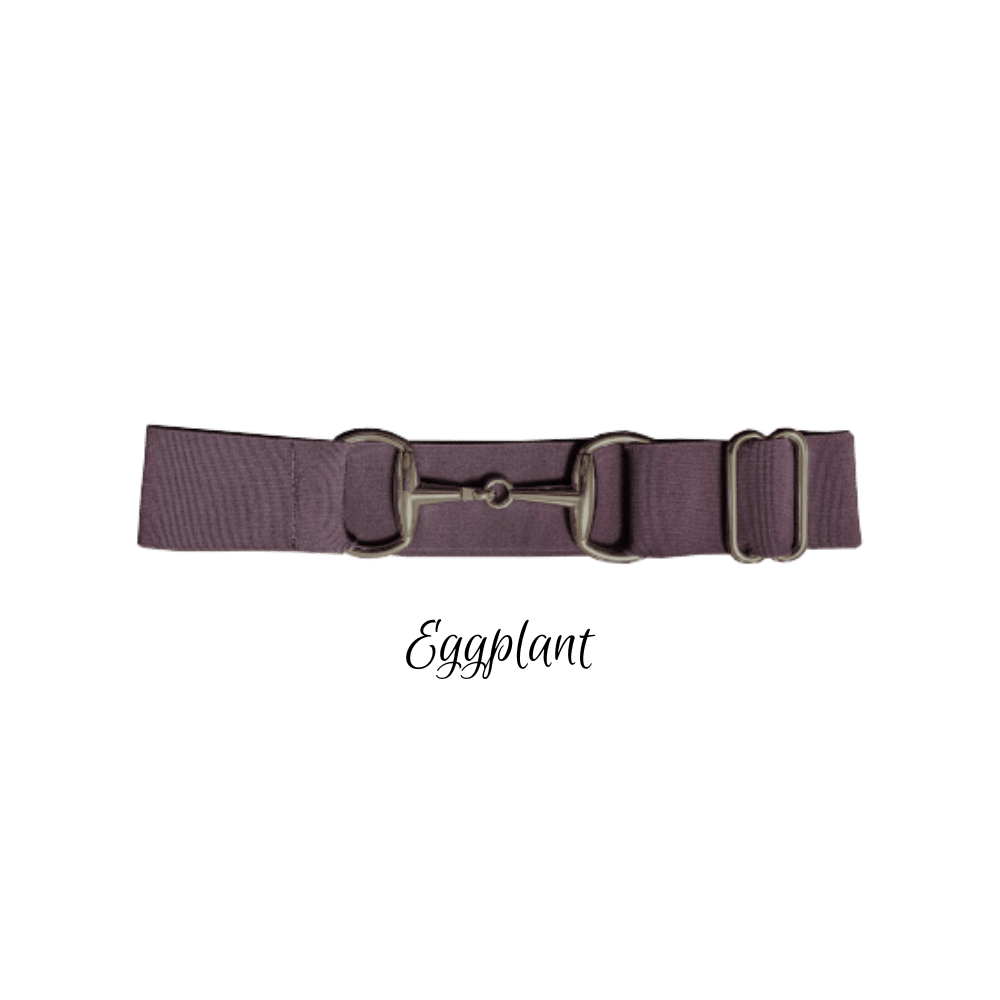 A purple fabric belt with a dark metal horsebit buckle and adjustment loops, shown on a plain white background with the text 'Eggplant' below.